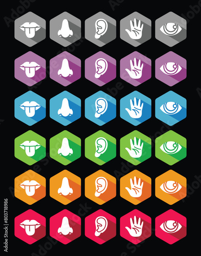 Human five senses icon set, collection of flat hexagon icon design with long shadow