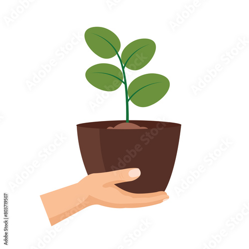 Hand holding  young tree, farmer brings plant seeds, cartoon human hand carrying a plant pot, flat icon vector illustration