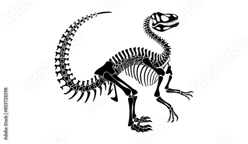 Velociraptor skeleton  Raptor silhouette  Raptor dinosaur skeleton  Dinosaur bones  Dinosaur skeleton clipart  AI generative 