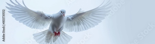 A white bird with red feet is flying in the sky photo