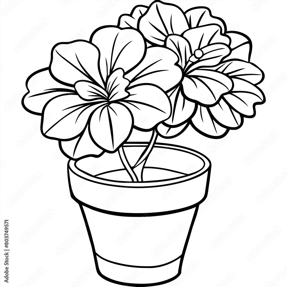 Geranium flower plant outline illustration coloring book page design, Geranium flower plant black and white line art drawing coloring book pages for children and adults Geranium flower plant outline illustration coloring book page design, Geranium flower plant black and white line art drawing coloring book pages for children and adults