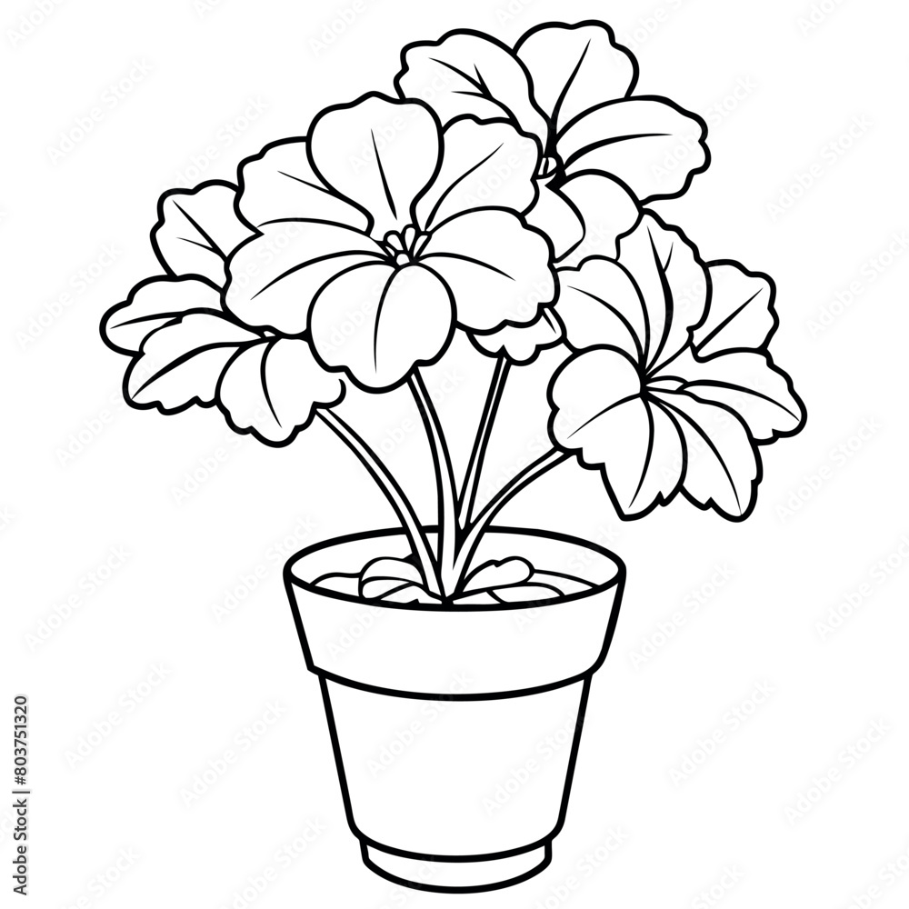 Geranium flower plant outline illustration coloring book page design, Geranium flower plant black and white line art drawing coloring book pages for children and adults
