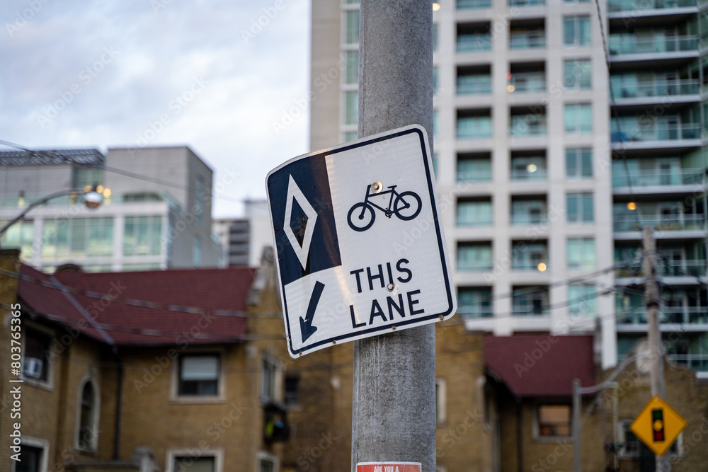 Bicycle This Lane sign on the road.