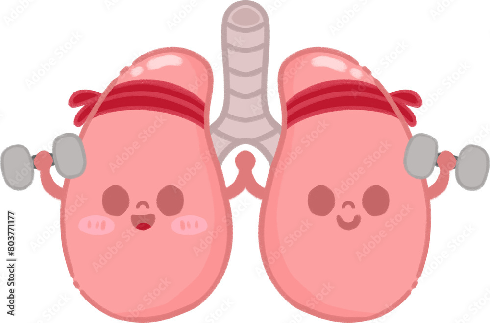 Fototapeta premium Healthy Lung Character Illustration