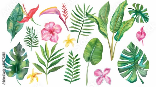 Watercolor Tropical flowers and leaves. Jungle flowers. Safari exotic greenery cute childish baby shower illustration. Floral summer isolated. Monstera banana leaves. animals. Illustrations