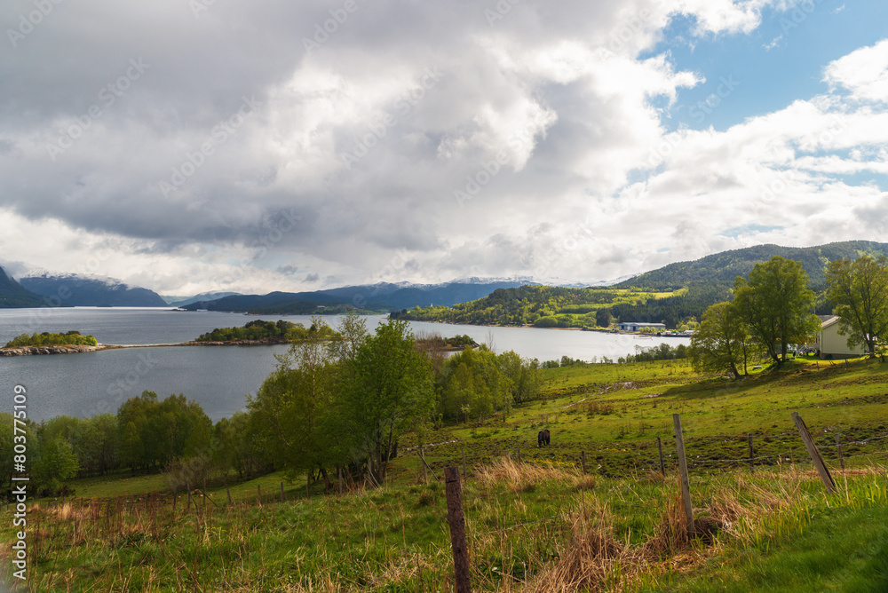 Fototapeta premium northern norway:nature sceneries on the road from Trondheim to Saebo