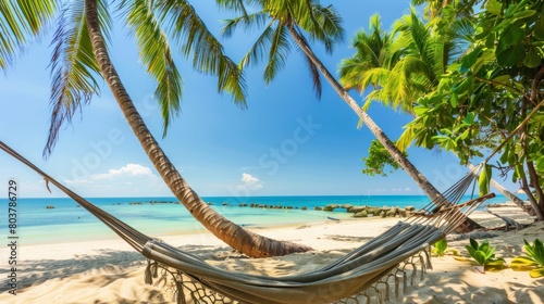 hammock between palm trees with beach view with white sand and turquoise water and blue sky with white clouds background