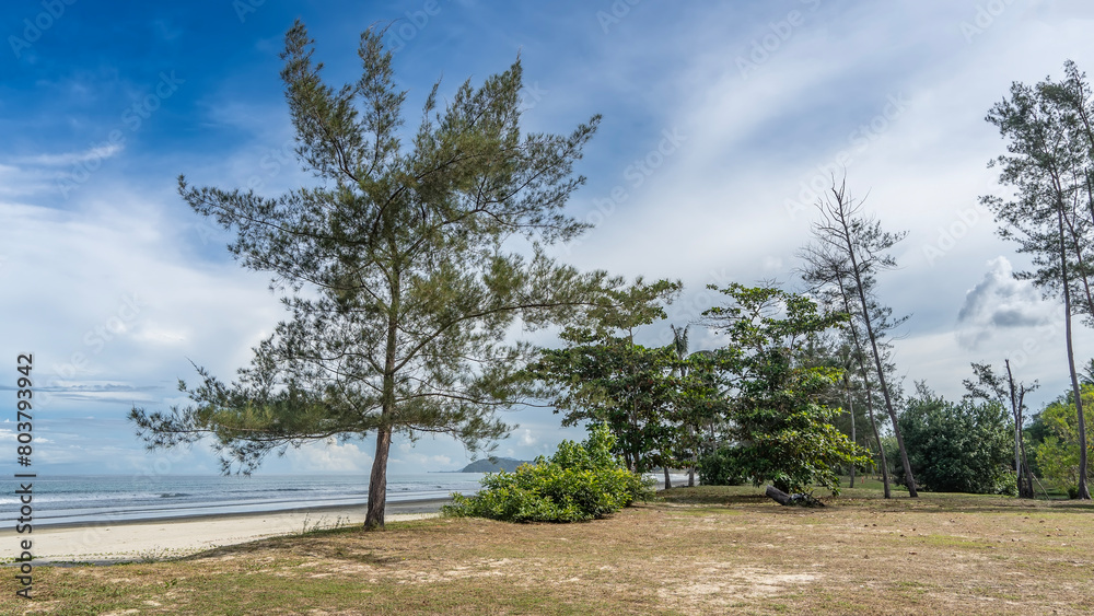 Obraz premium A deserted beach on a tropical island. Turquoise waves roll towards the shore. Coniferous trees and bushes grow on the lawn. Clouds in the blue sky. Malaysia. Borneo. Kota Kinabalu