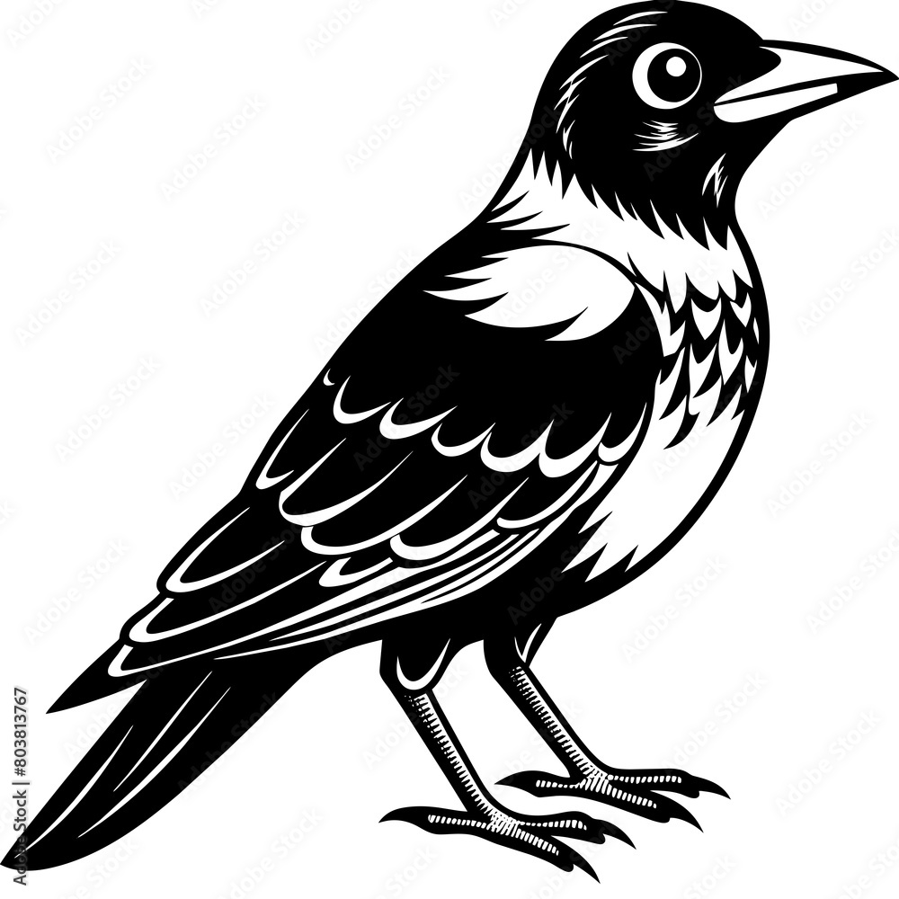 Cute bird vector art illustration.
Cute bird vector art illustration.