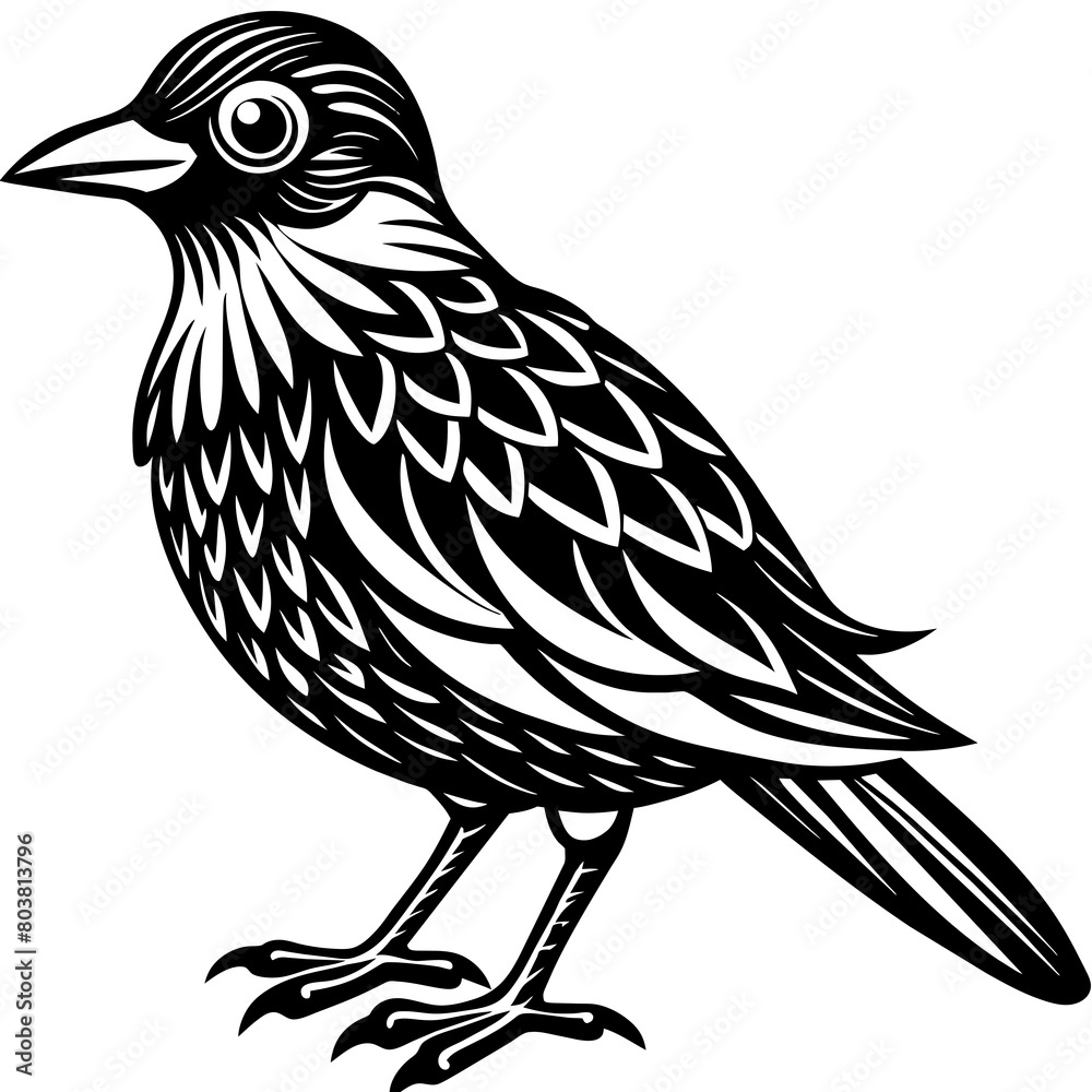 Fototapeta premium Cute bird vector art illustration. 