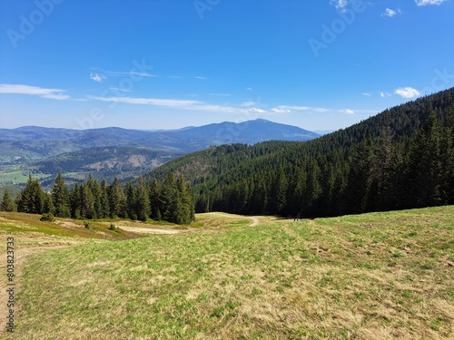 Fototapeta Naklejka Na Ścianę i Meble -  landscape mountains Beskidy, Beskid Żywiecki, Poland, Polska, Hala Miziowa
