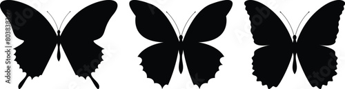 set of silhouette butterfly on transparent background, vector design