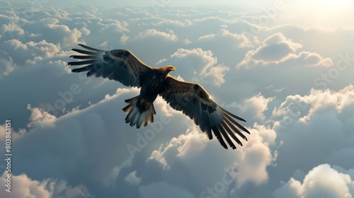 Majestic Eagle Soaring High © peerawat