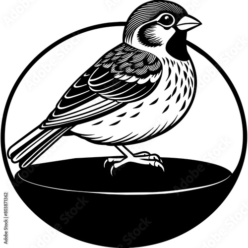 silhouette of a bird