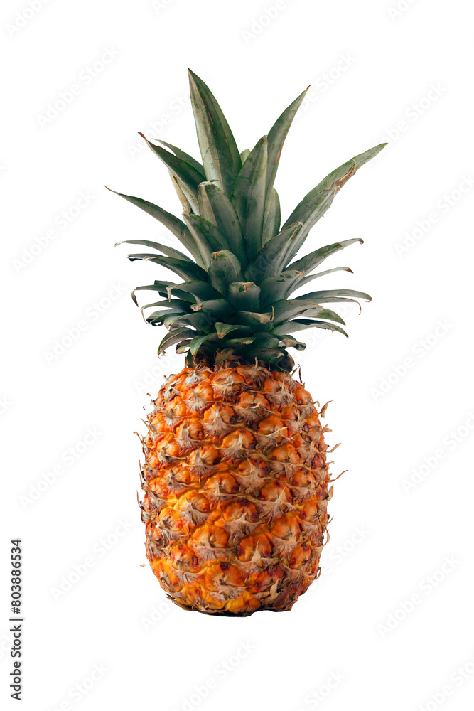 Fototapeta premium A single pineapple isolated