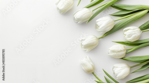 White tulips on a white background Mother s Day concept. Top view photo of bouquet of white and pink tulips on isolated pastel blue background with copyspace