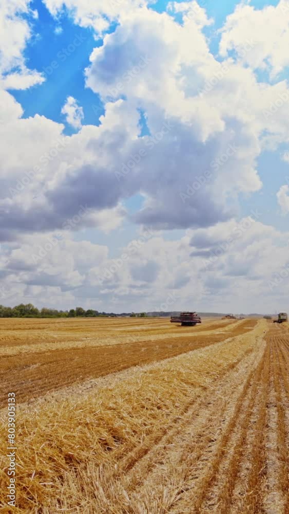Yellow and brown field after gathering wheat under the cloudy sky. Seasonal works of harvesting grains in the countryside. Vertical video Yellow and brown field after gathering wheat under the cloudy sky. Seasonal works of harvesting grains in the countryside. Vertical video
