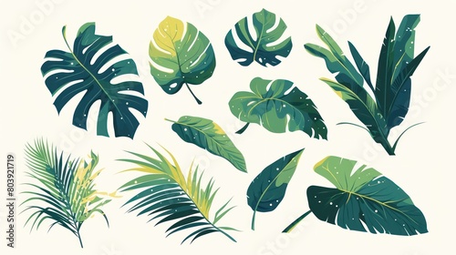 Collection of tropical leaves foliage plant