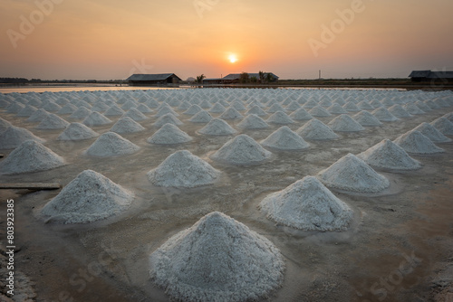 Salt farming is the process of harvesting salt from seawater or brine.