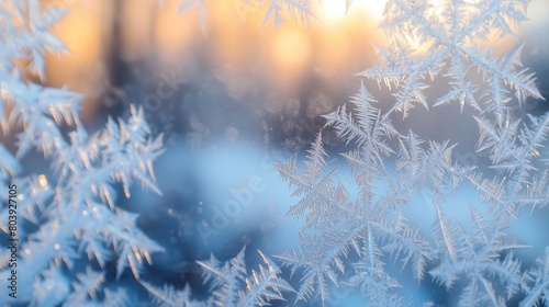 A close-up of a frost-covered window, where the ice crystals have formed a natural, geometric lattice, capturing the fleeting beauty of patterns formed by the cold. © The Capture,s