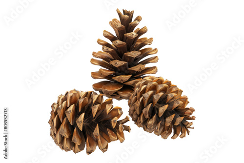 Cones isolated on transparent background