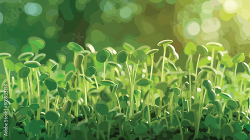 Fresh micro green sprouts closeup style vector