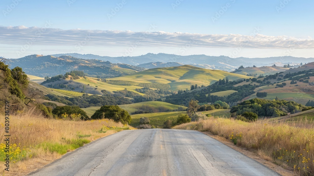 Empty country road stretching into the distance with scenic views of rolling hills and blue sky. Empty country road stretching into the distance with scenic views of rolling hills and blue sky.