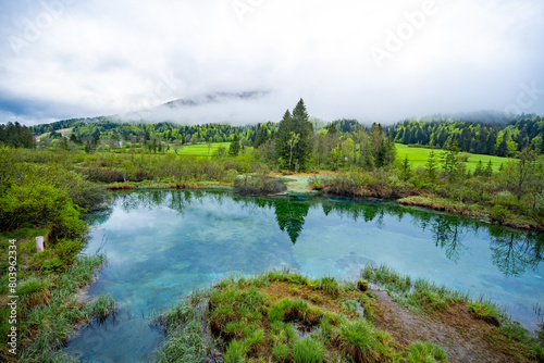 Nature Reserve Zelenci, krajnska gora, Slovenia, Europe. Wonderful morning view of Zelenci nature reserve. Slovenia travel.