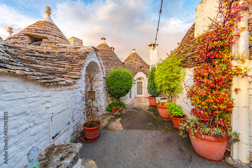 Trulli of Alberobello, Puglia, Italy. town of Alberobello with trulli houses among green plants and flowers