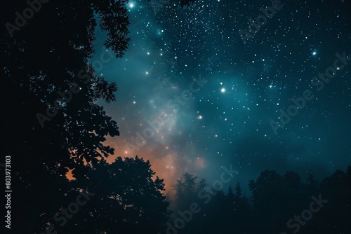 Starry Night Sky over Silhouetted Forest