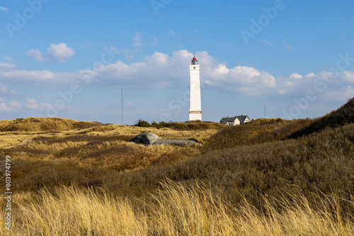 Blâvand Strand und Leuchtturm - Dänemark 6