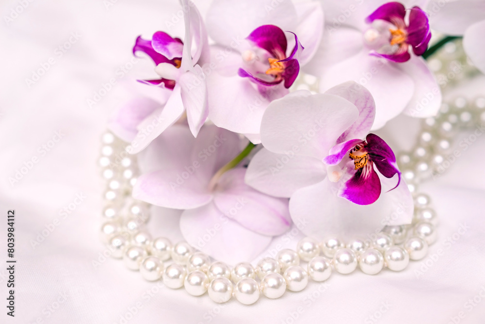 The branch of purple orchids on white fabric background
