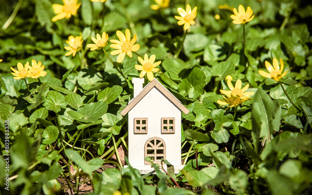 The symbol of the house stands among the yellow flowers
The symbol of the house stands among the yellow flowers