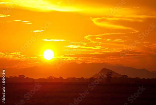 Fototapeta Naklejka Na Ścianę i Meble -  sunset on Sri Lanka