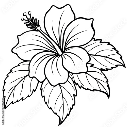 Hibiscus flower plant illustration coloring book page design, Hibiscus Hibiscus flower plant and white line art drawing coloring book pages for children and adults