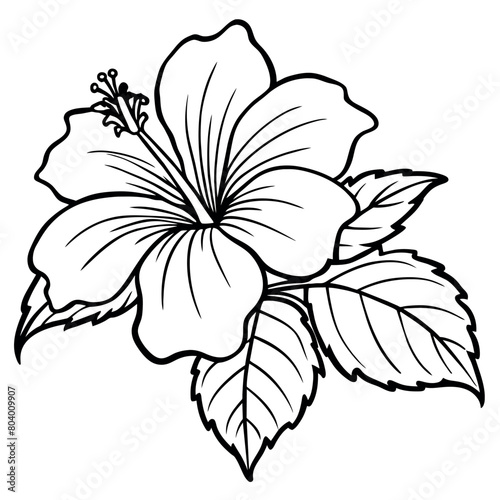 Hibiscus flower plant illustration coloring book page design, Hibiscus Hibiscus flower plant and white line art drawing coloring book pages for children and adults
