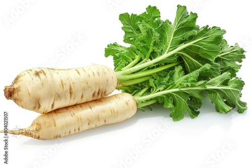 Front aspect of an isolated parsnip veggie against a white backdrop. Generative Ai