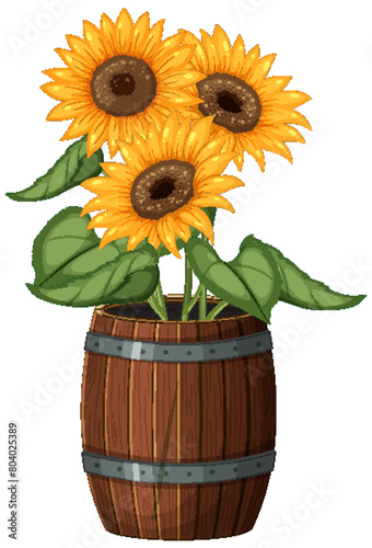 Three vibrant sunflowers arranged in a rustic barrel.