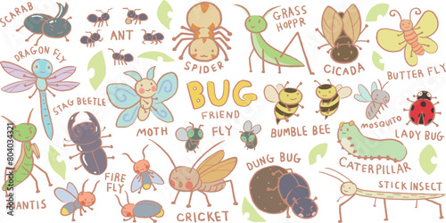 set of hand drawn cute bug for kids, english, bug pattern