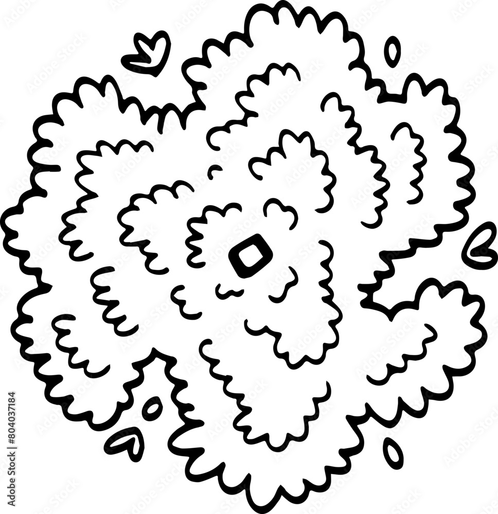 top view of tree hand drawing. top view of tree hand drawing.