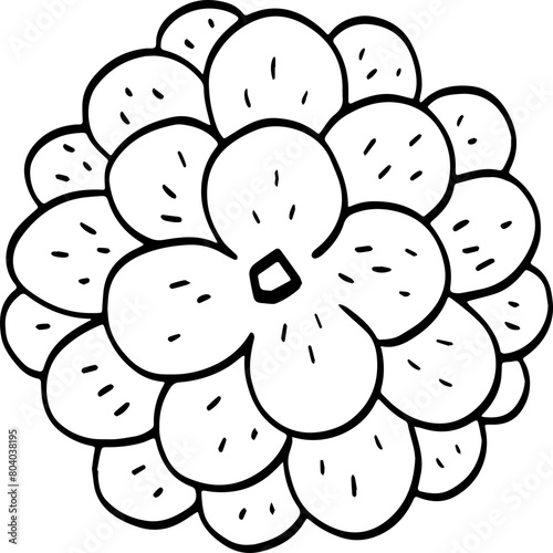 top view of tree hand drawing.