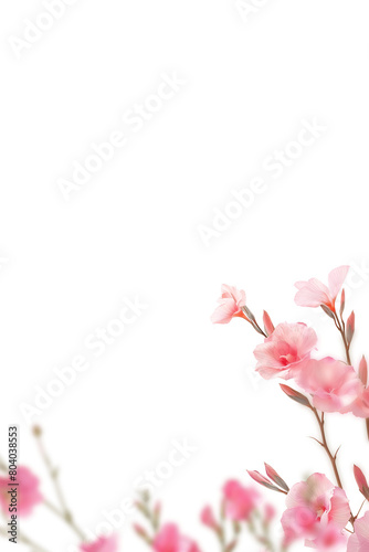 Spring Floral Branches Transparent PNG Overlays