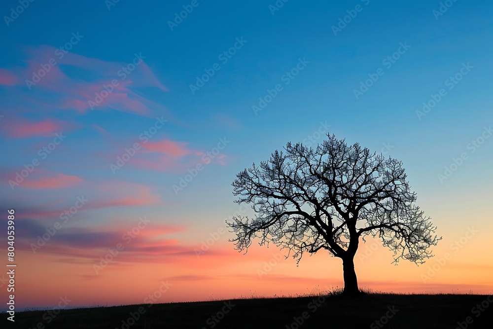 A lone tree silhouetted against a twilight sky.