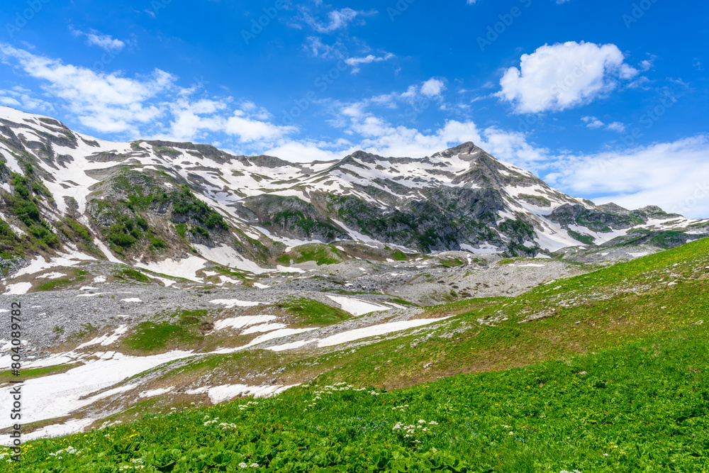 The snow-capped mountain peaks in the tropical forest. The alpine mountains and meadows.