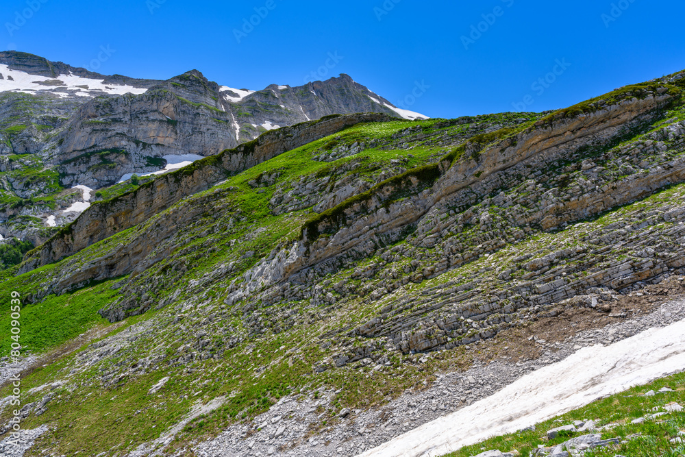 The snow-capped mountain peaks in the tropical forest. The alpine mountains and meadows.