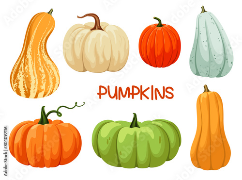 A set of bright ripe pumpkins on a white background. Vegetables of different shapes and sizes. Vector illustration in cartoon style.
