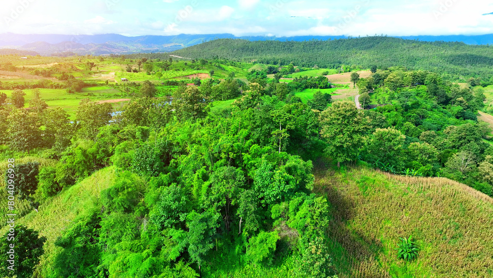 Obraz premium Aerial drone imagery reveals the intricate agricultural systems etched into the hilly and plateau terrains. Precision farming techniques optimize crop yields in challenging landscapes. Thailand. 