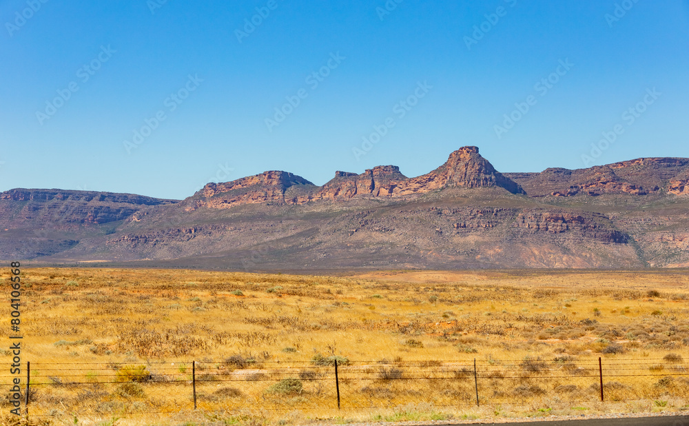 Arid landscape in the Namaqualand region of South Africa