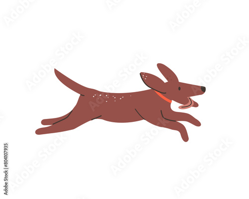 Happy dog runs side view. Adorable doggy with collar rush. Cute puppy shows tongue on the go. Friendly pup has fun. Pet, domestic animal plays. Flat isolated vector illustration on white background
