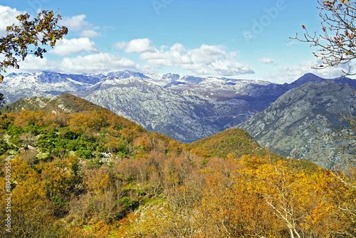 Autumn landscape from Mount Vrmac: slopes covered with evergreen and deciduous trees with yellow foliage against the backdrop of harsh rocky slopes. Nature in Montenegro.